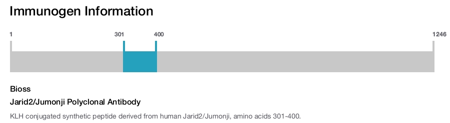 Jarid2/Jumonji Polyclonal Antibody