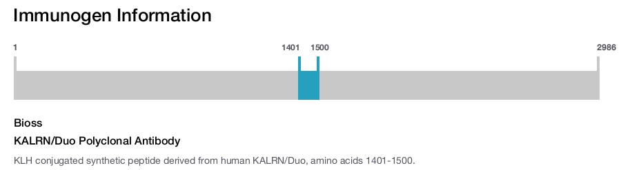 KALRN/Duo Polyclonal Antibody