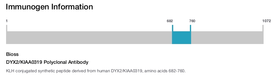 DYX2/KIAA0319 Polyclonal Antibody