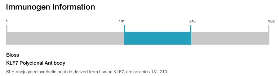 KLF7 Polyclonal Antibody