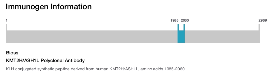 KMT2H/ASH1L Polyclonal Antibody