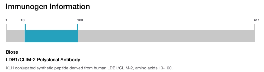 LDB1/CLIM-2 Polyclonal Antibody