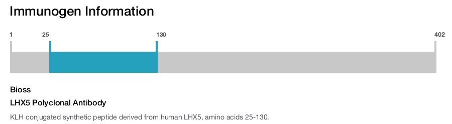 LHX5 Polyclonal Antibody