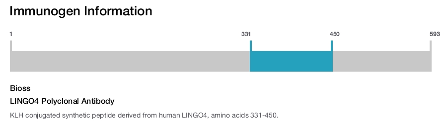 LINGO4 Polyclonal Antibody