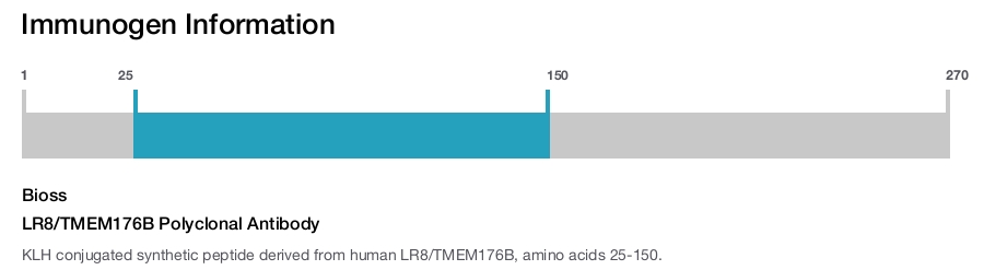 LR8/TMEM176B Polyclonal Antibody