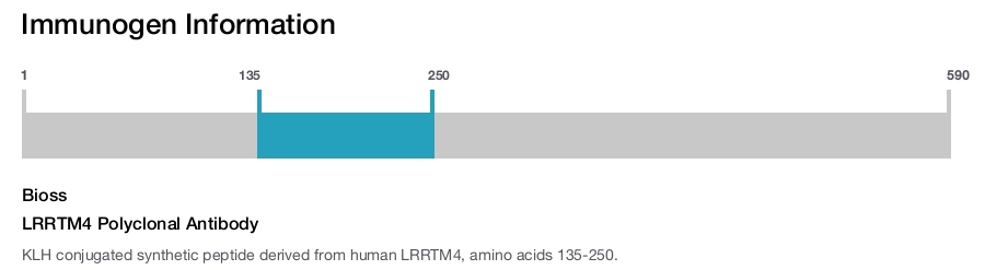 LRRTM4 Polyclonal Antibody