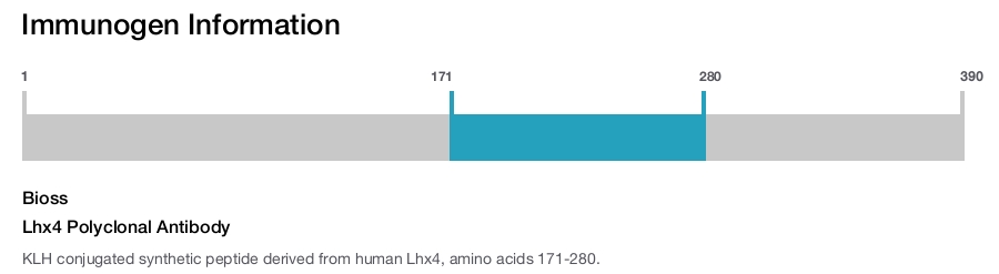 Lhx4 Polyclonal Antibody