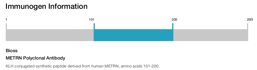 METRN Polyclonal Antibody