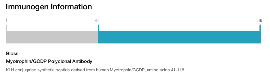 Myotrophin/GCDP Polyclonal Antibody
