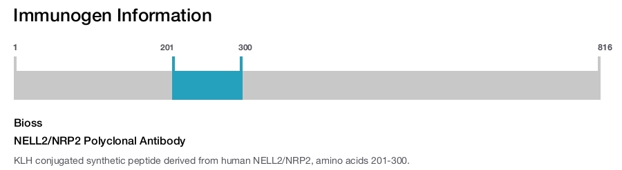 NELL2/NRP2 Polyclonal Antibody