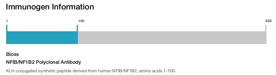 NFIB/NF1B2 Polyclonal Antibody