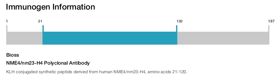 NME4/nm23-H4 Polyclonal Antibody