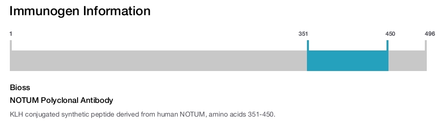 NOTUM Polyclonal Antibody