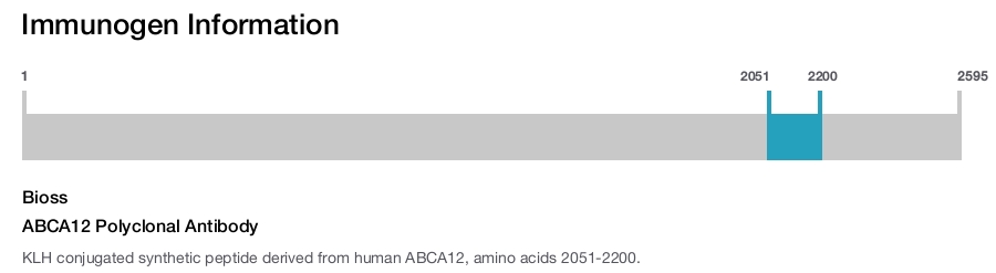 ABCA12 Polyclonal Antibody