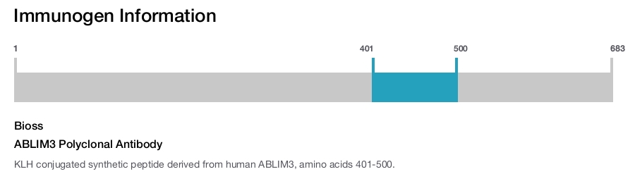 ABLIM3 Polyclonal Antibody
