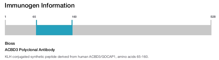ACBD3 Polyclonal Antibody