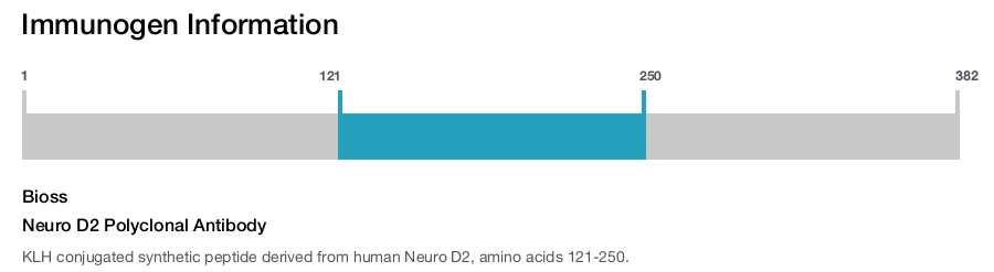 Neuro D2 Polyclonal Antibody