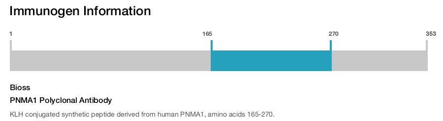 PNMA1 Polyclonal Antibody