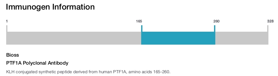 PTF1A Polyclonal Antibody