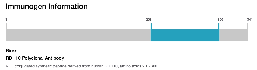 RDH10 Polyclonal Antibody