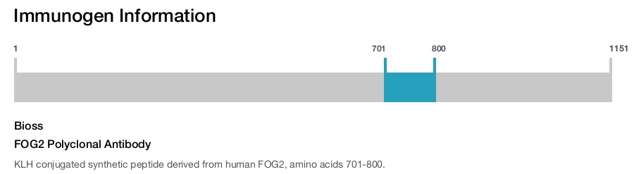 FOG2 Polyclonal Antibody