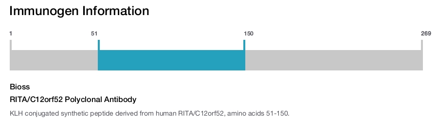 RITA/C12orf52 Polyclonal Antibody