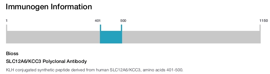 SLC12A6/KCC3 Polyclonal Antibody