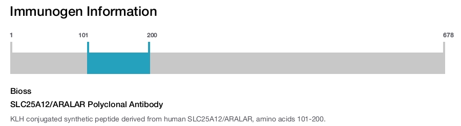 SLC25A12/ARALAR Polyclonal Antibody