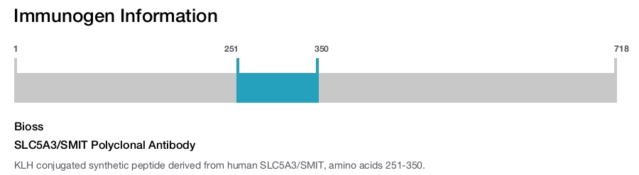 SLC5A3/SMIT Polyclonal Antibody