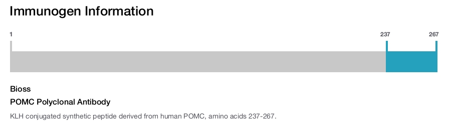 POMC Polyclonal Antibody