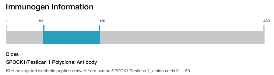 SPOCK1/Testican 1 Polyclonal Antibody