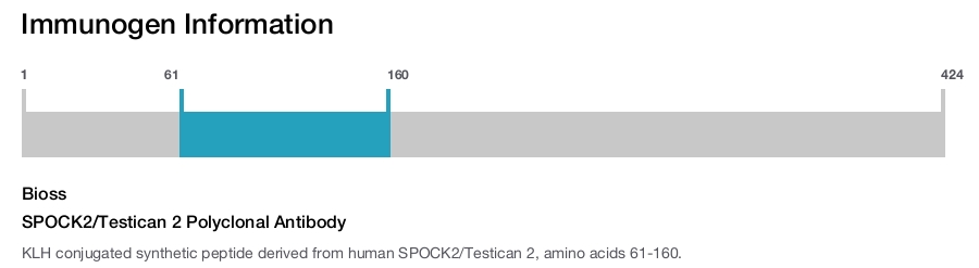 SPOCK2/Testican 2 Polyclonal Antibody