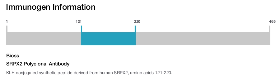 SRPX2 Polyclonal Antibody