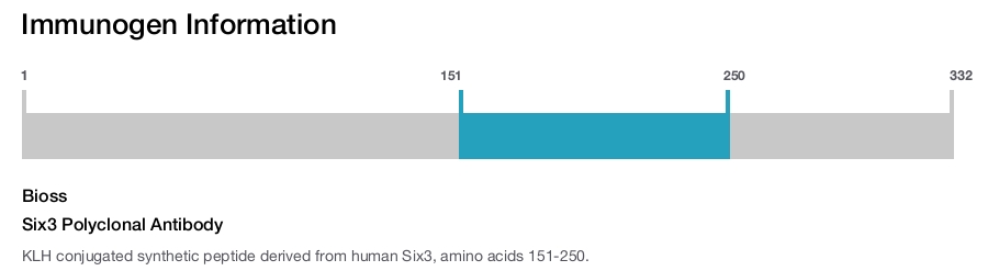 Six3 Polyclonal Antibody