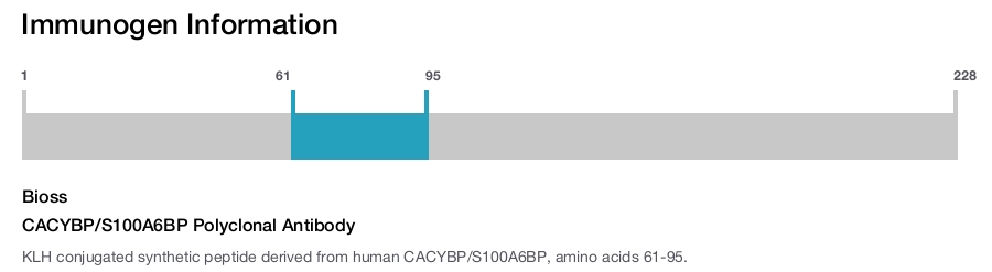 CACYBP/S100A6BP Polyclonal Antibody