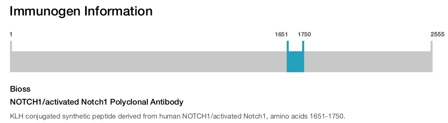 NOTCH1/activated Notch1 Polyclonal Antibody