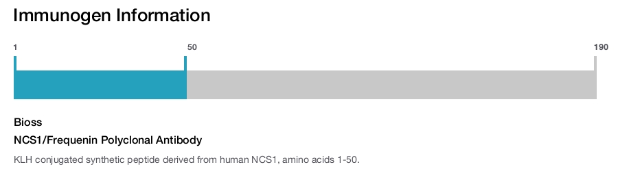 NCS1/Frequenin Polyclonal Antibody