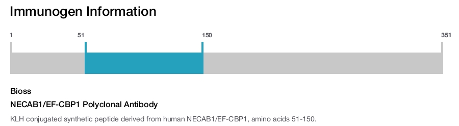 NECAB1/EF-CBP1 Polyclonal Antibody