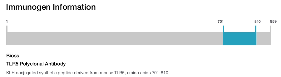 TLR5 Polyclonal Antibody