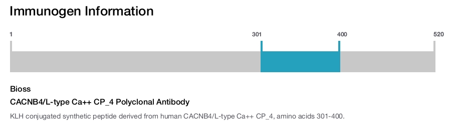 CACNB4/L-type Ca++ CP_4 Polyclonal Antibody