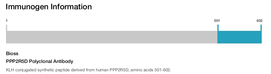 PPP2R5D Polyclonal Antibody