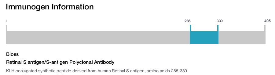 Retinal S antigen/S-antigen Polyclonal Antibody