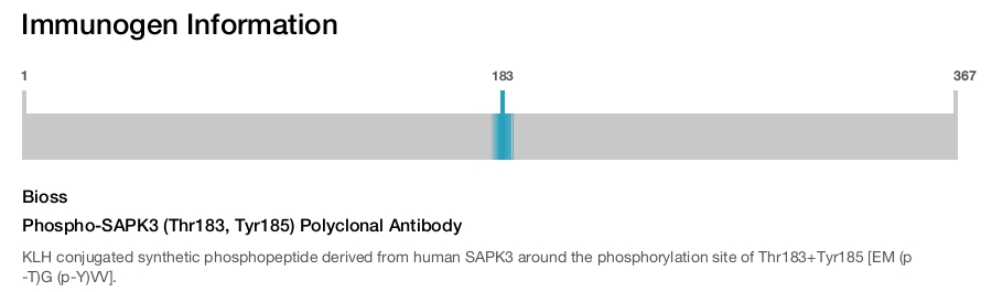 Phospho-SAPK3 (Thr183, Tyr185) Polyclonal Antibody