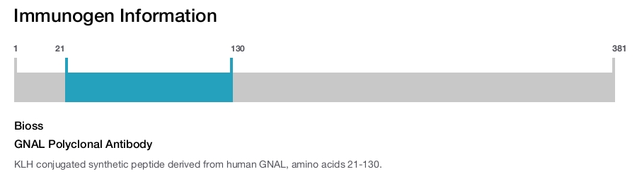 GNAL Polyclonal Antibody