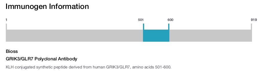 GRIK3/GLR7 Polyclonal Antibody