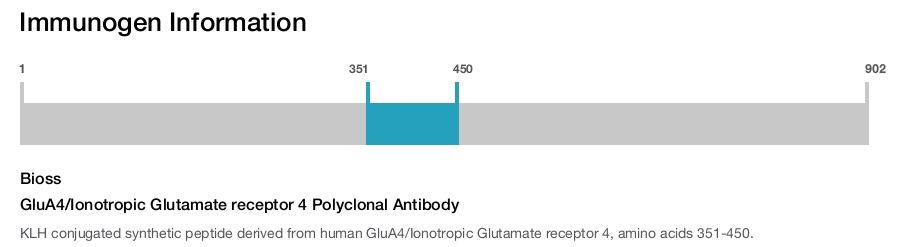 GluA4/Ionotropic Glutamate receptor 4 Polyclonal Antibody