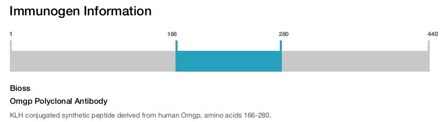 Omgp Polyclonal Antibody