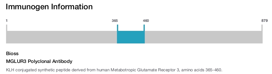 MGLUR3 Polyclonal Antibody