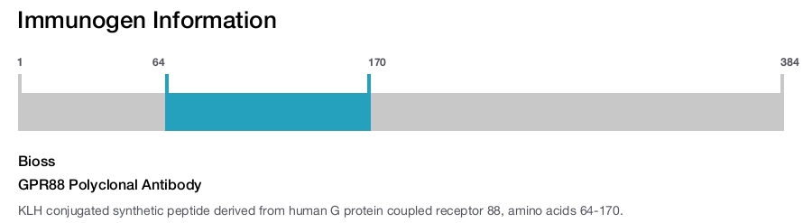 GPR88 Polyclonal Antibody