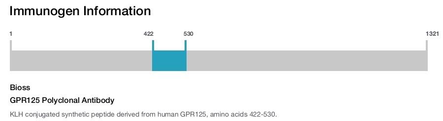 GPR125 Polyclonal Antibody